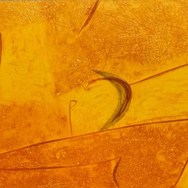 Distesa estate | Tommaso Cascella