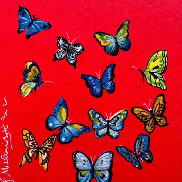 Volo Surreale | Meloniski da Villacidro