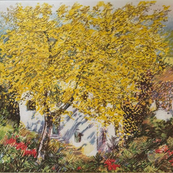 Natura | Michele Cascella