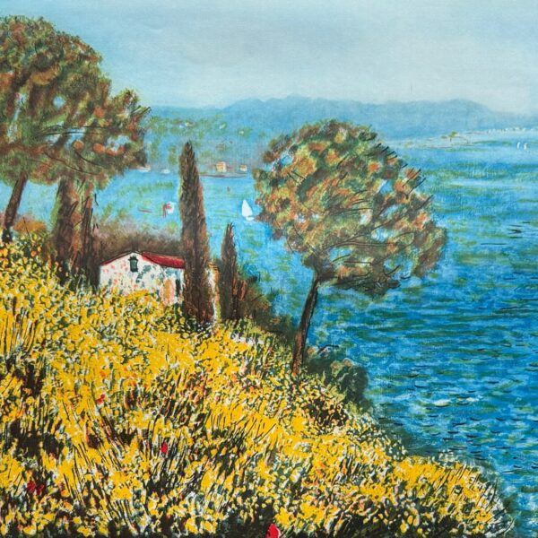 Ginestre in riva al mare | Michele Cascella