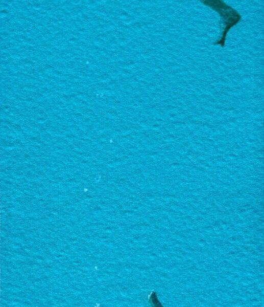 Il mio eroe! | Diego Santini