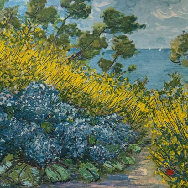 Ortensie tra le ginestre | Michele Cascella